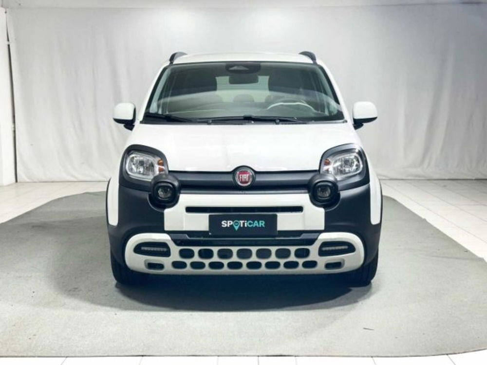 Fiat Panda nuova a Sondrio (8)