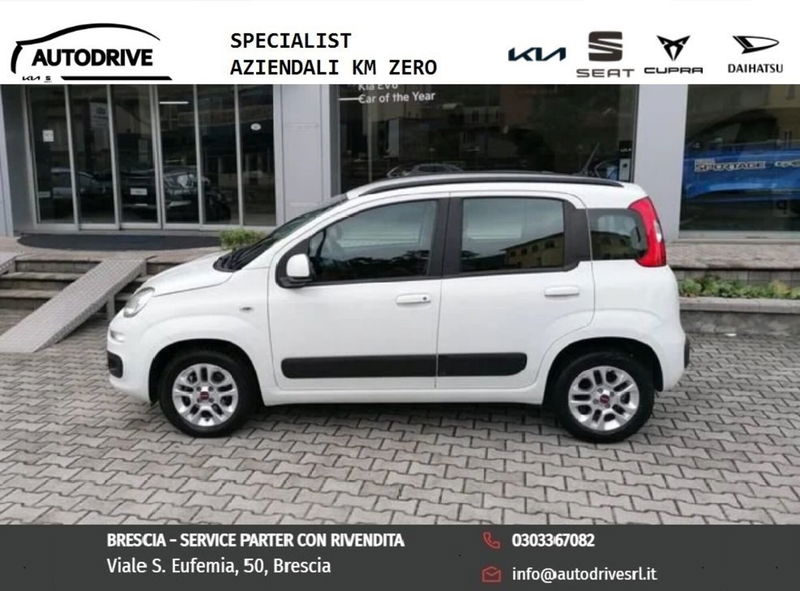 Fiat Panda 1.2 Lounge  del 2020 usata a Brescia