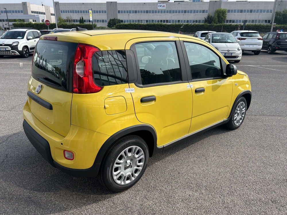 Fiat Panda Cross nuova a Bergamo (4)