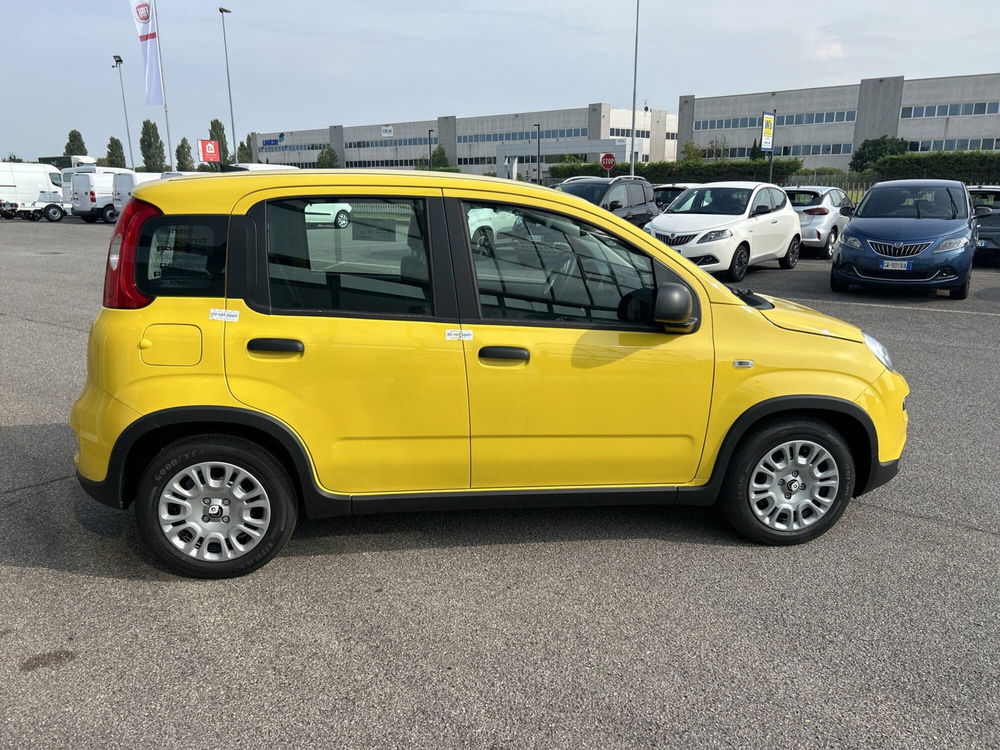 Fiat Panda nuova a Bergamo (5)