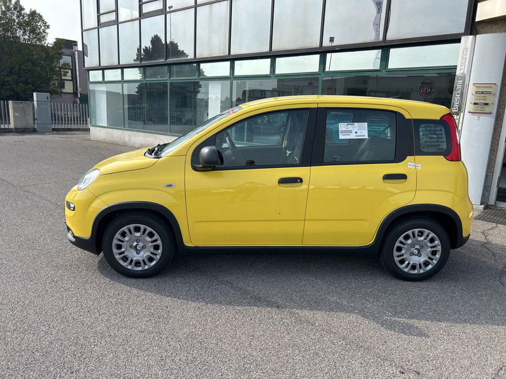 Fiat Panda Cross nuova a Bergamo (6)