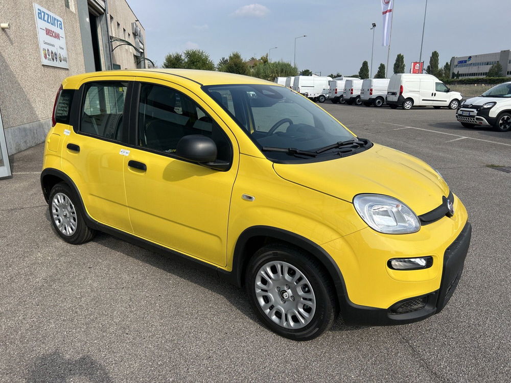 Fiat Panda nuova a Bergamo (7)