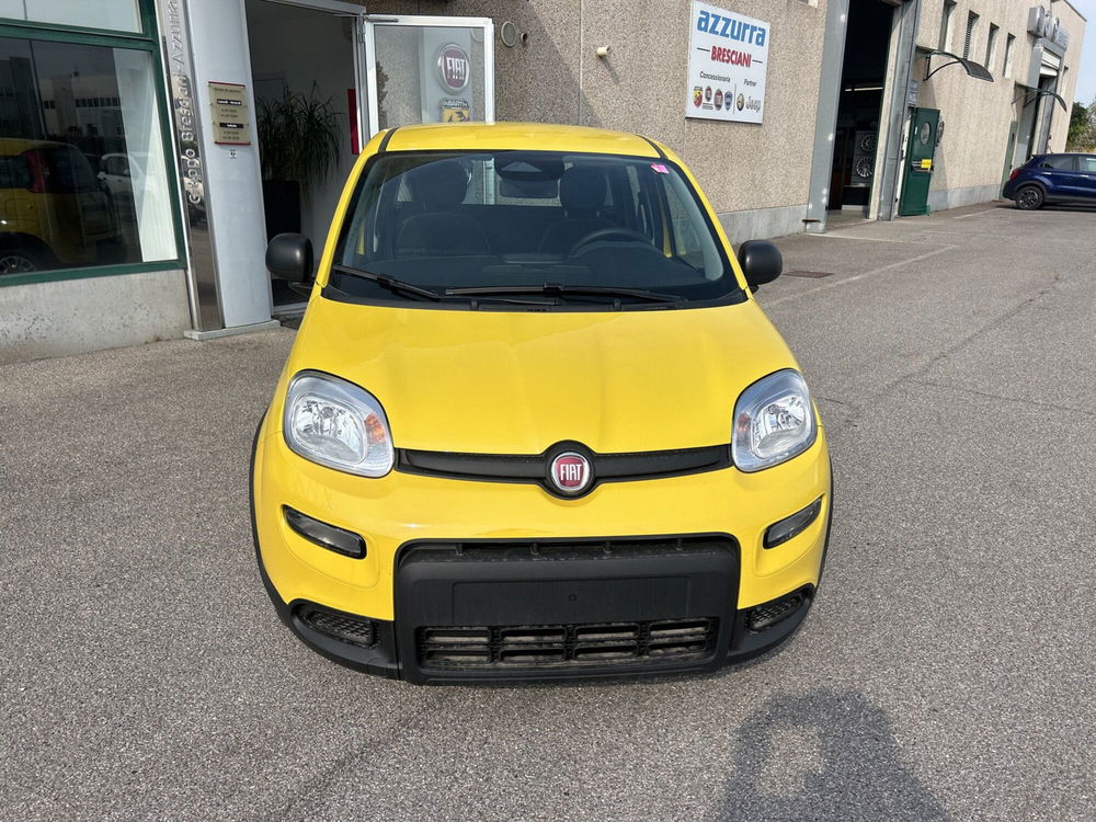 Fiat Panda Cross nuova a Bergamo (8)