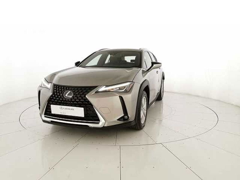 Lexus UX Hybrid Business del 2019 usata a San Giovanni Teatino