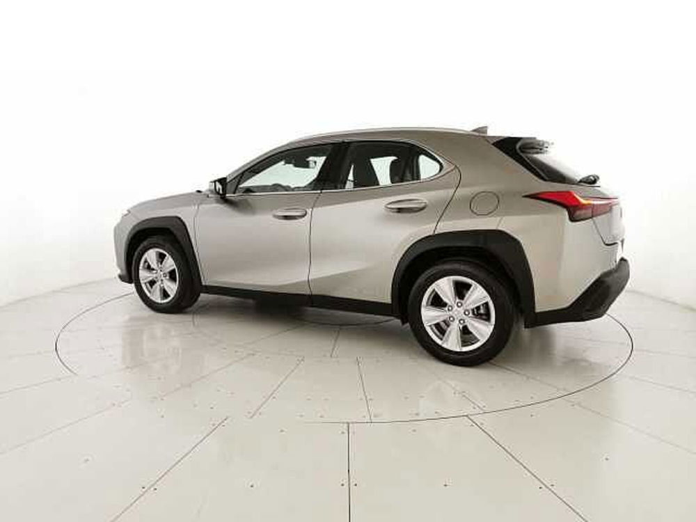 Lexus UX usata a Chieti (2)