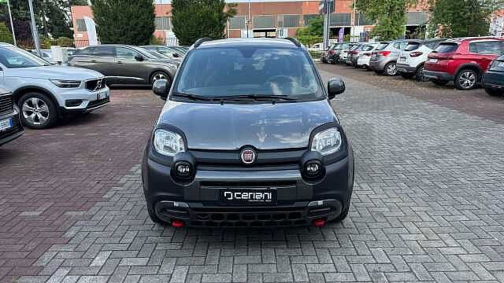 Fiat Panda Cross usata a Milano (7)