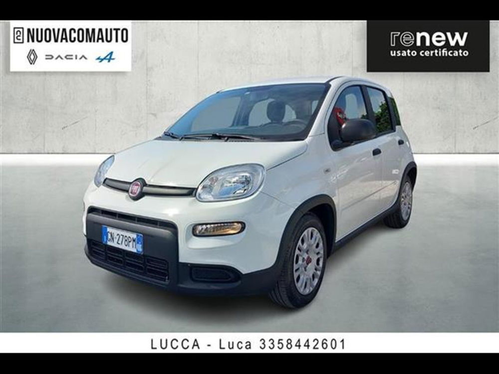 Fiat Panda usata a Firenze