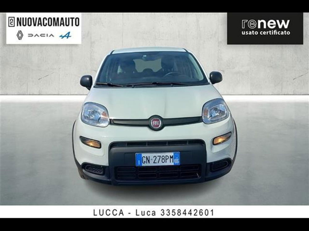 Fiat Panda usata a Firenze (2)