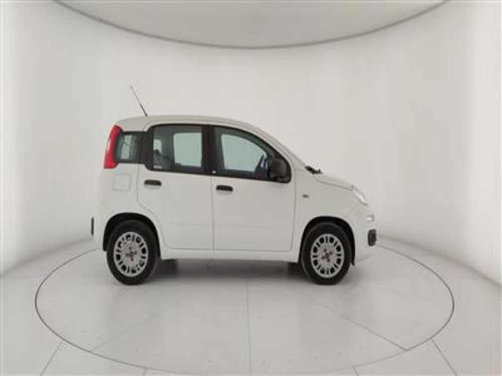 Fiat Panda usata a Bari (9)