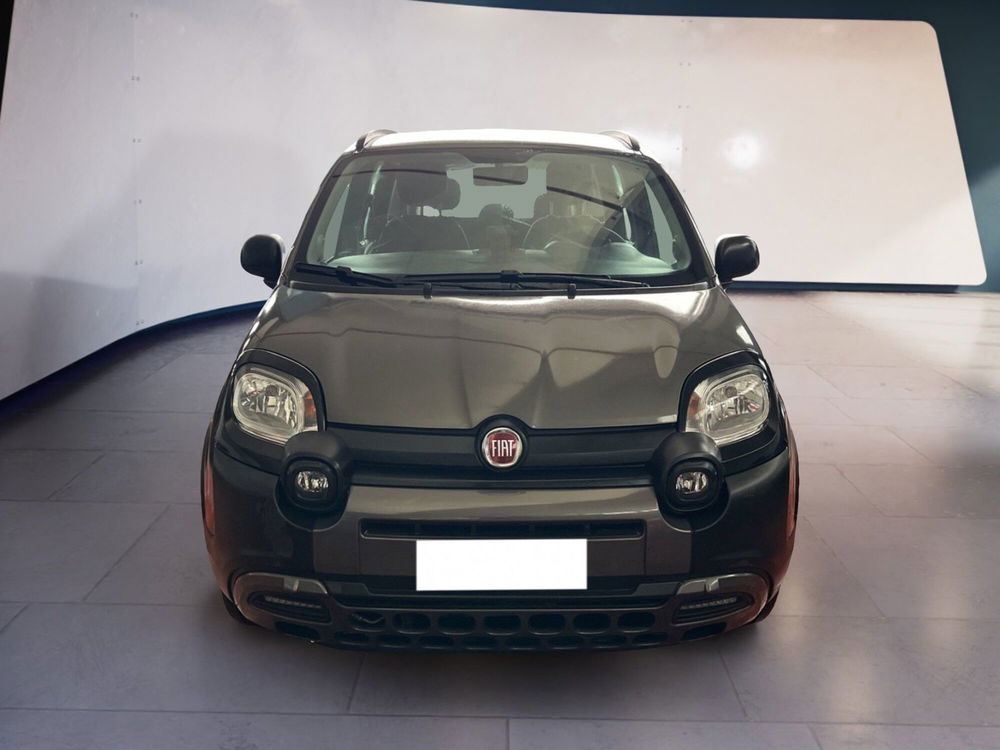 Fiat Panda usata a Torino