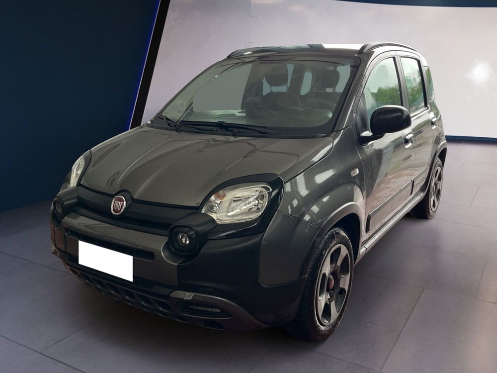 Fiat Panda usata a Torino (2)