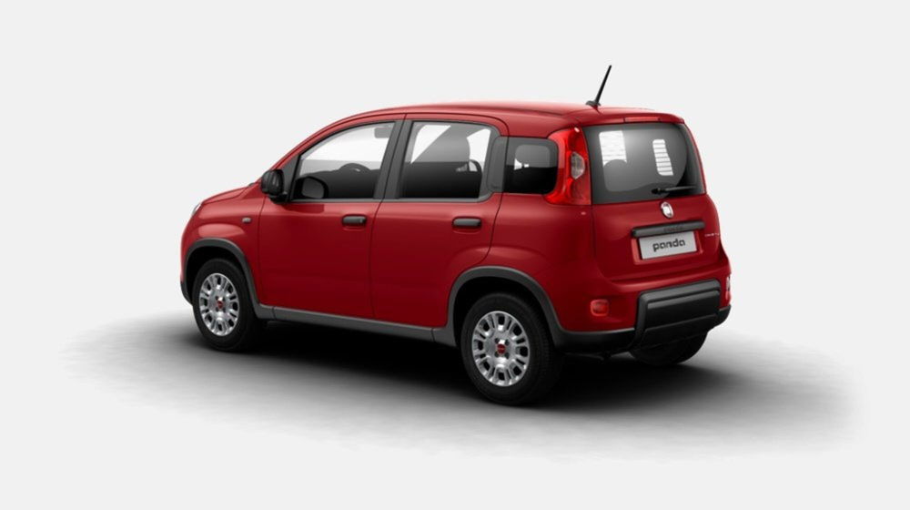 Fiat Panda nuova a Siena (2)