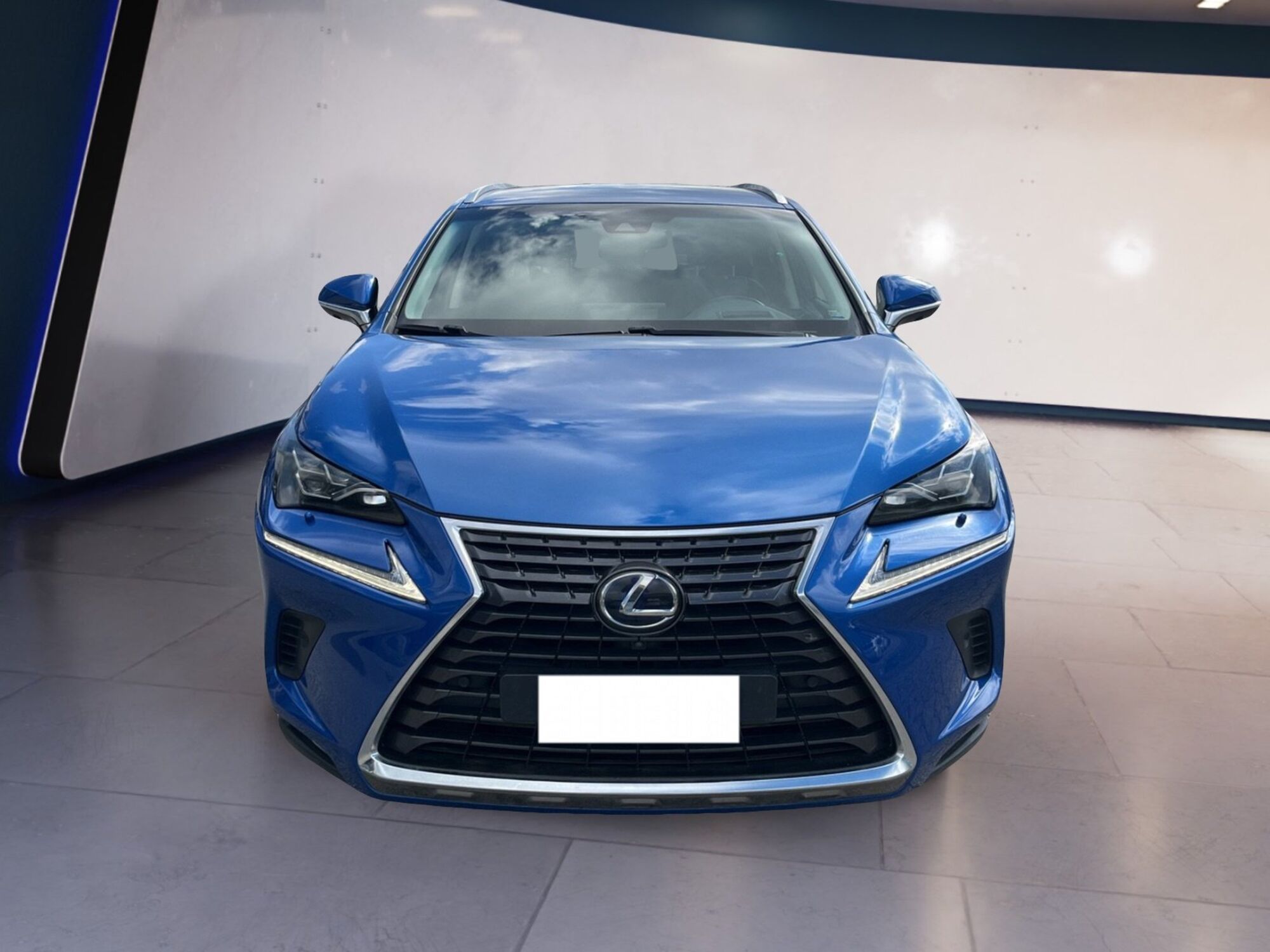 Lexus NX Hybrid 4WD Luxury  del 2018 usata a Torino