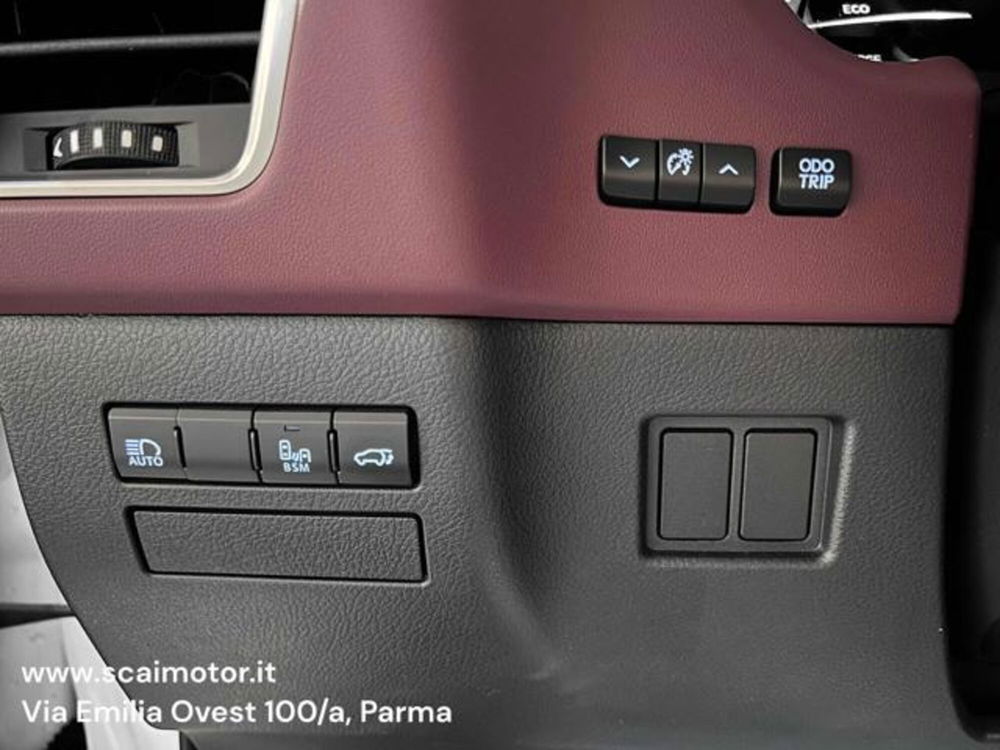 Lexus NX usata a Parma (14)