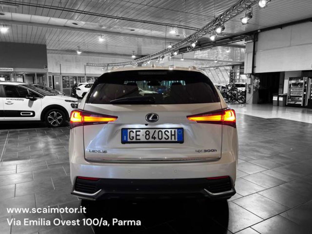 Lexus NX usata a Parma (5)