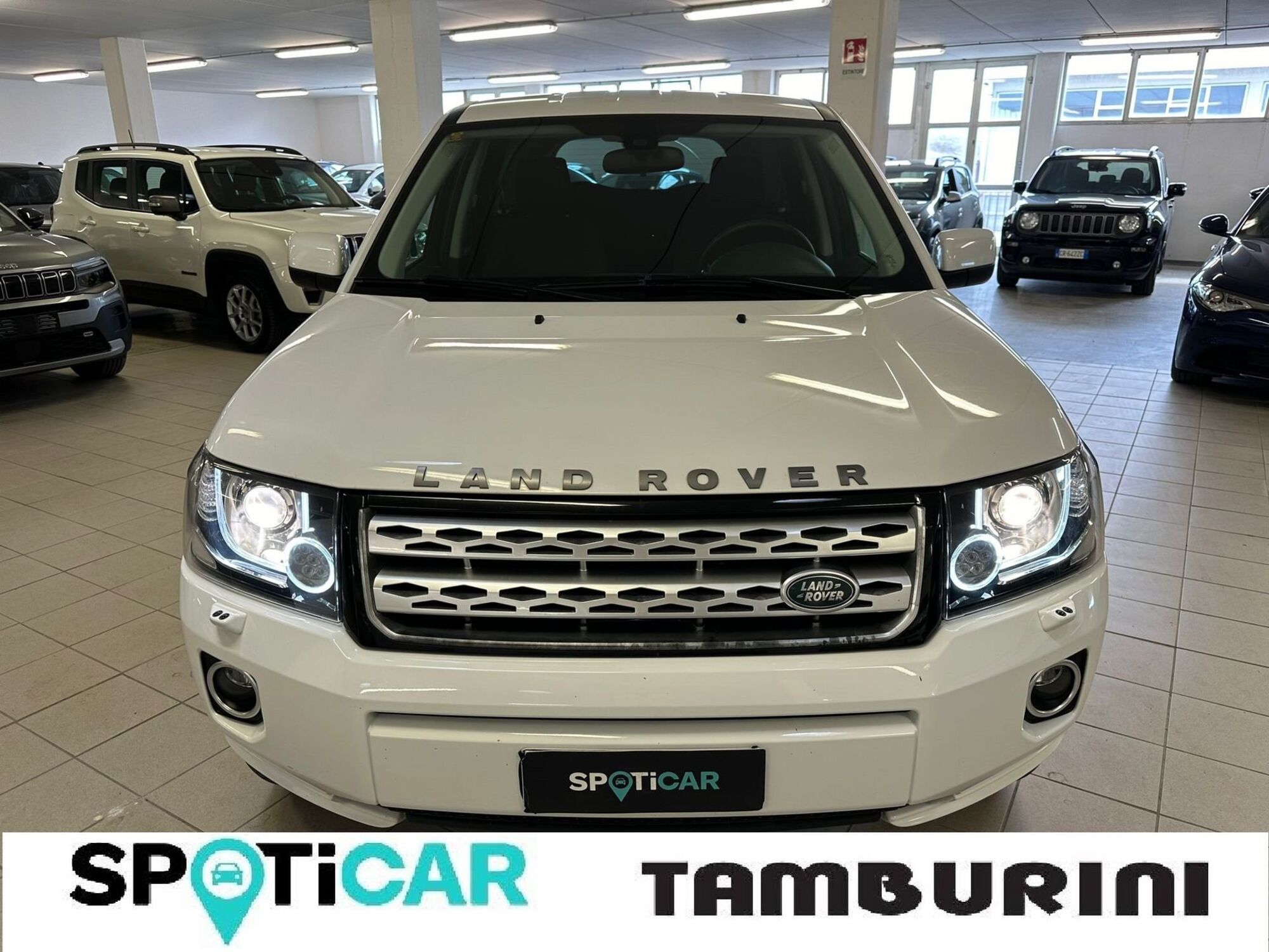 Land Rover Freelander 2.2 eD4 2WD S.W. SE del 2013 usata a Cortona