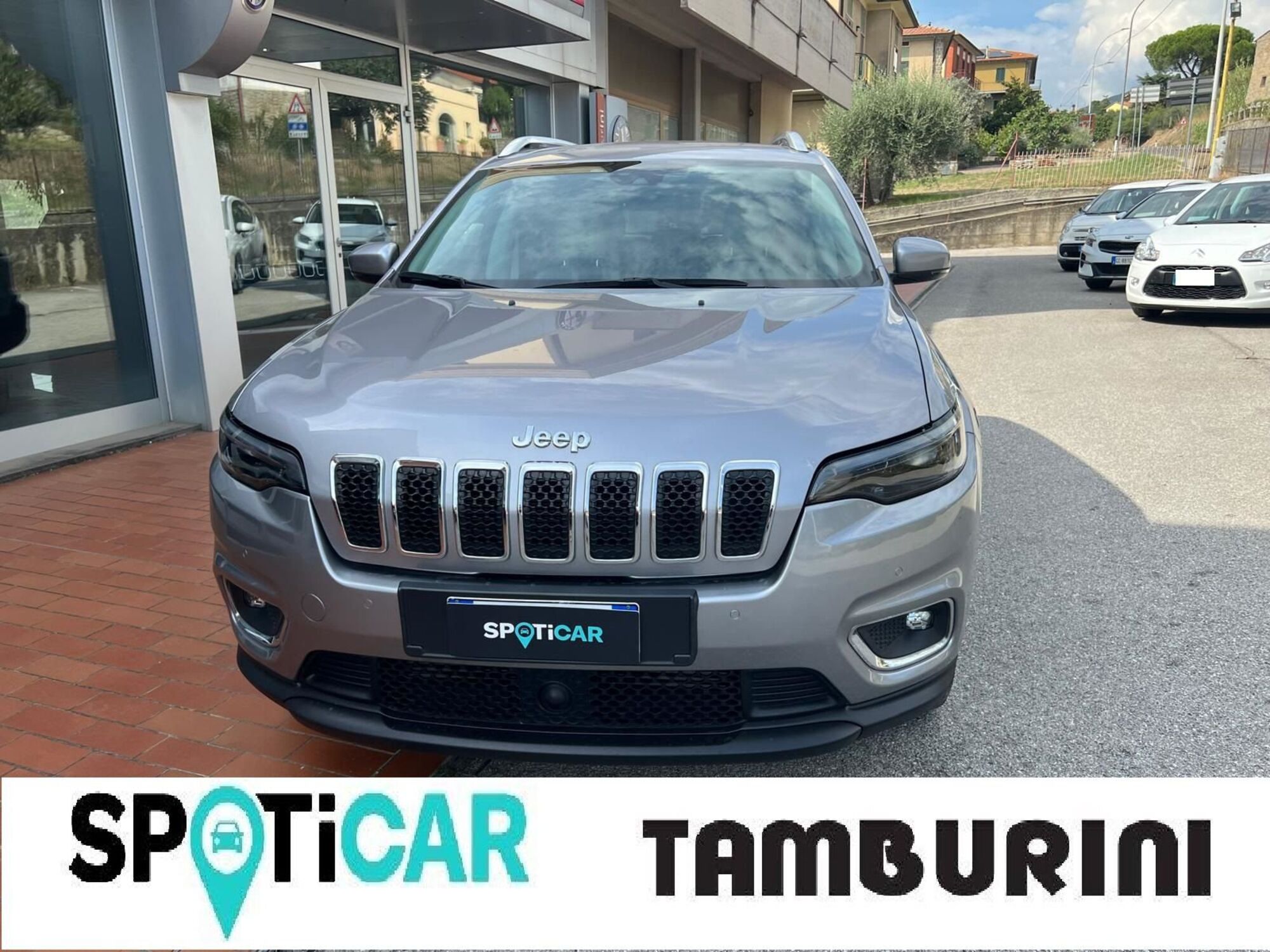 Jeep Cherokee 2.2 Mjt AWD Active Drive I Limited del 2019 usata a Cortona