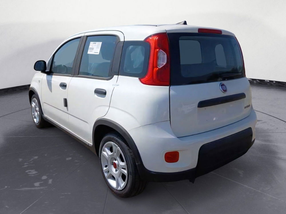 Fiat Panda Cross nuova a Brindisi (6)