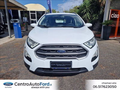 Ford EcoSport 1.0 EcoBoost 100 CV del 2019 usata a Albano Laziale