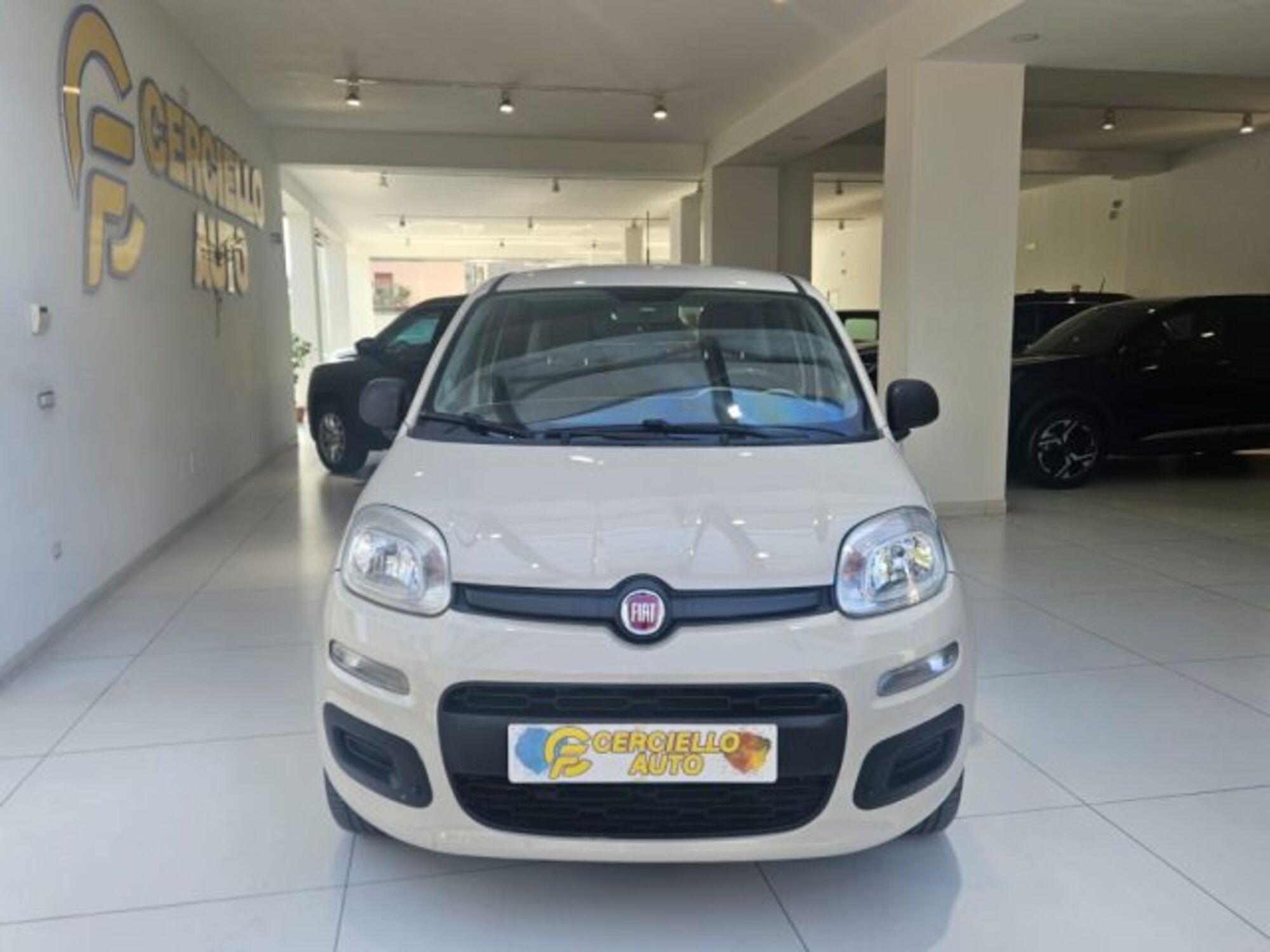 Fiat Panda 0.9 TwinAir Turbo Natural Power Easy  del 2014 usata a Somma Vesuviana