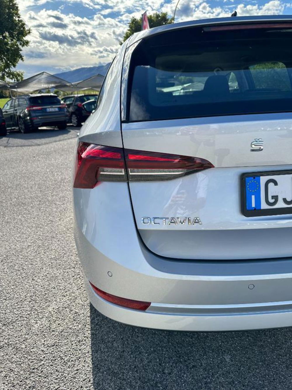 Skoda Octavia Station Wagon usata a Pordenone (5)