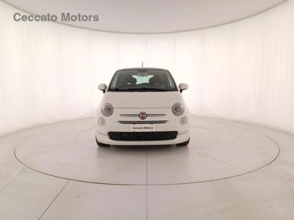 Fiat 500 usata a Padova (2)