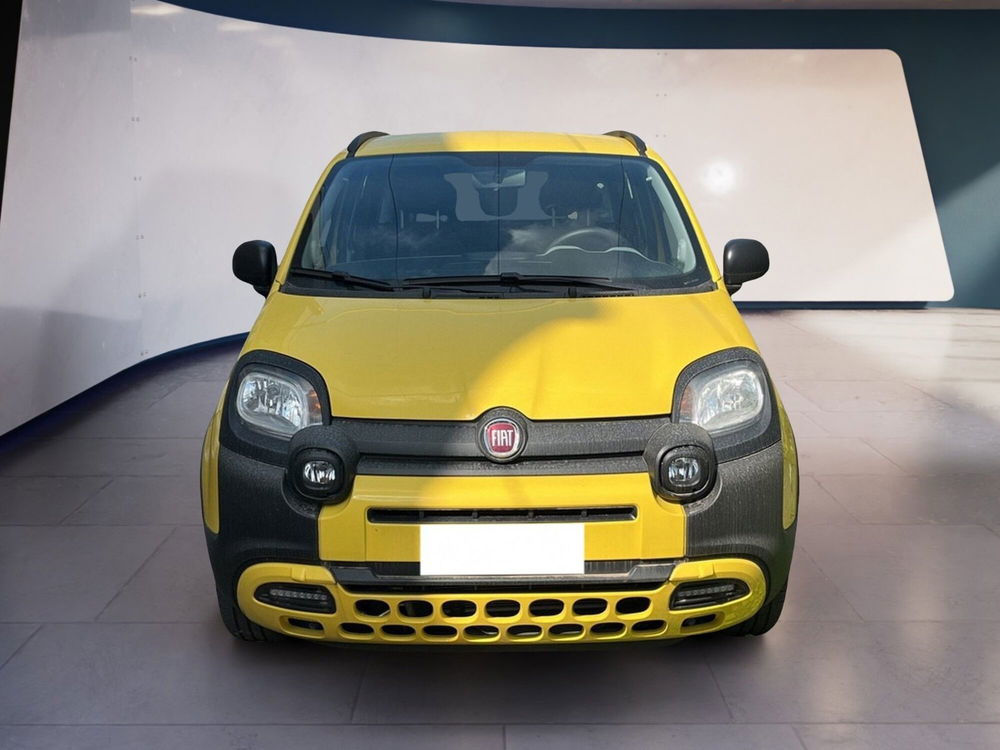 Fiat Panda Cross usata a Torino