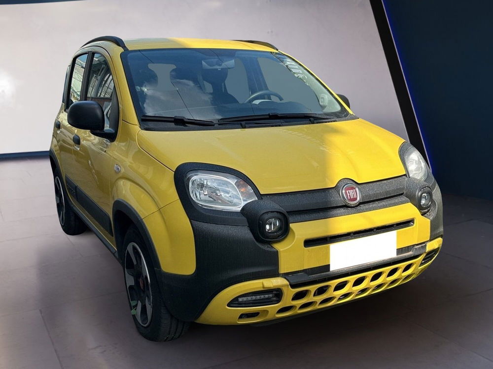 Fiat Panda Cross usata a Torino (2)