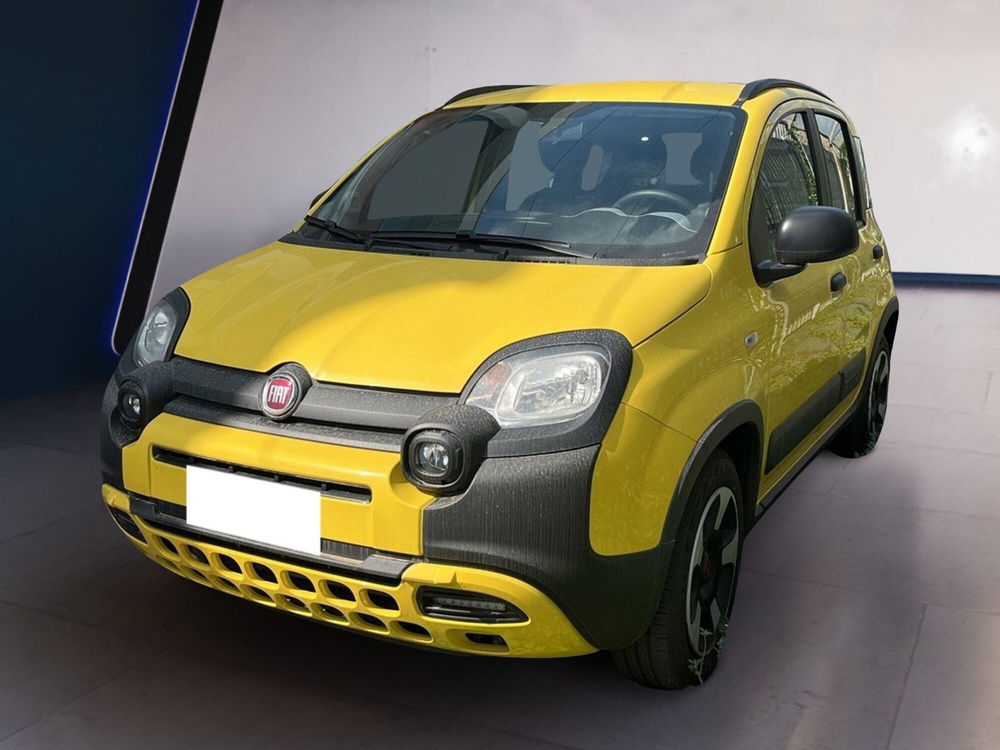 Fiat Panda Cross usata a Torino (3)