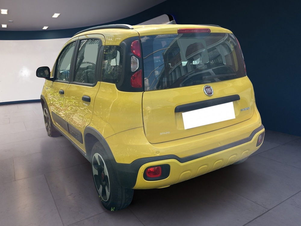 Fiat Panda Cross usata a Torino (7)