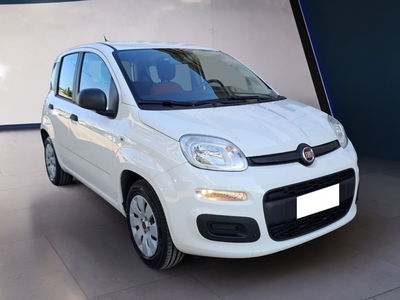 Fiat Panda 1.2 Pop  del 2018 usata a Montesilvano