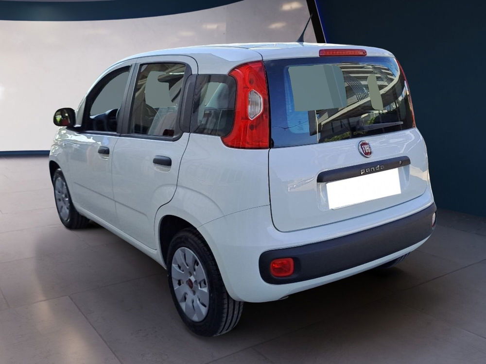 Fiat Panda usata a Pescara (4)