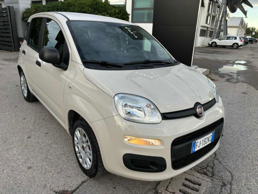 Fiat Panda usata a Pesaro-Urbino (2)