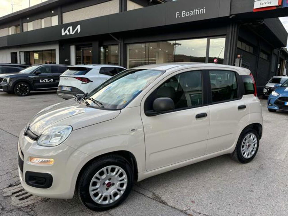 Fiat Panda usata a Pesaro-Urbino (5)