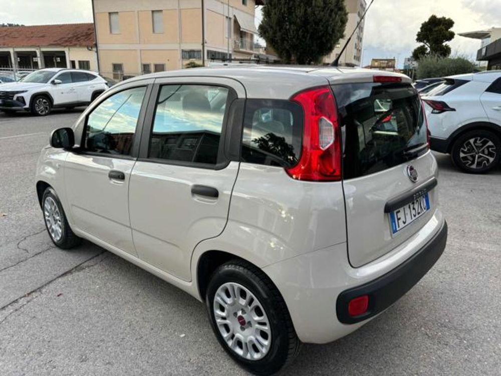 Fiat Panda usata a Pesaro-Urbino (6)