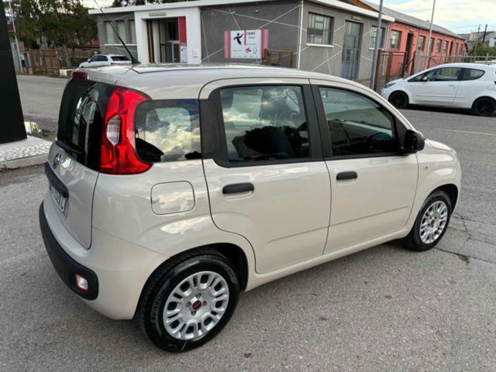 Fiat Panda usata a Pesaro-Urbino (7)