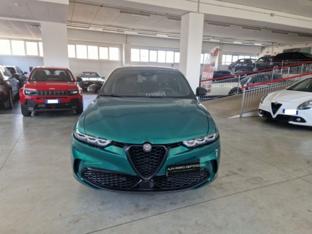 Alfa Romeo Tonale usata a Terni (2)