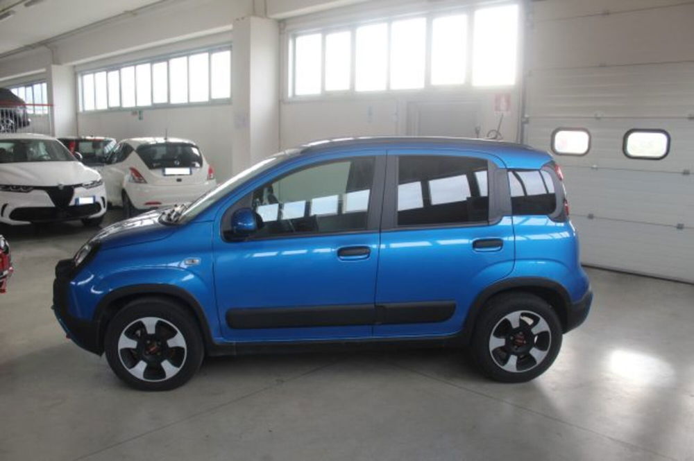 Fiat Panda Cross usata a Terni (3)