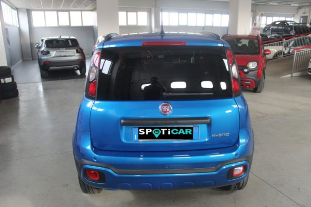 Fiat Panda Cross usata a Terni (5)