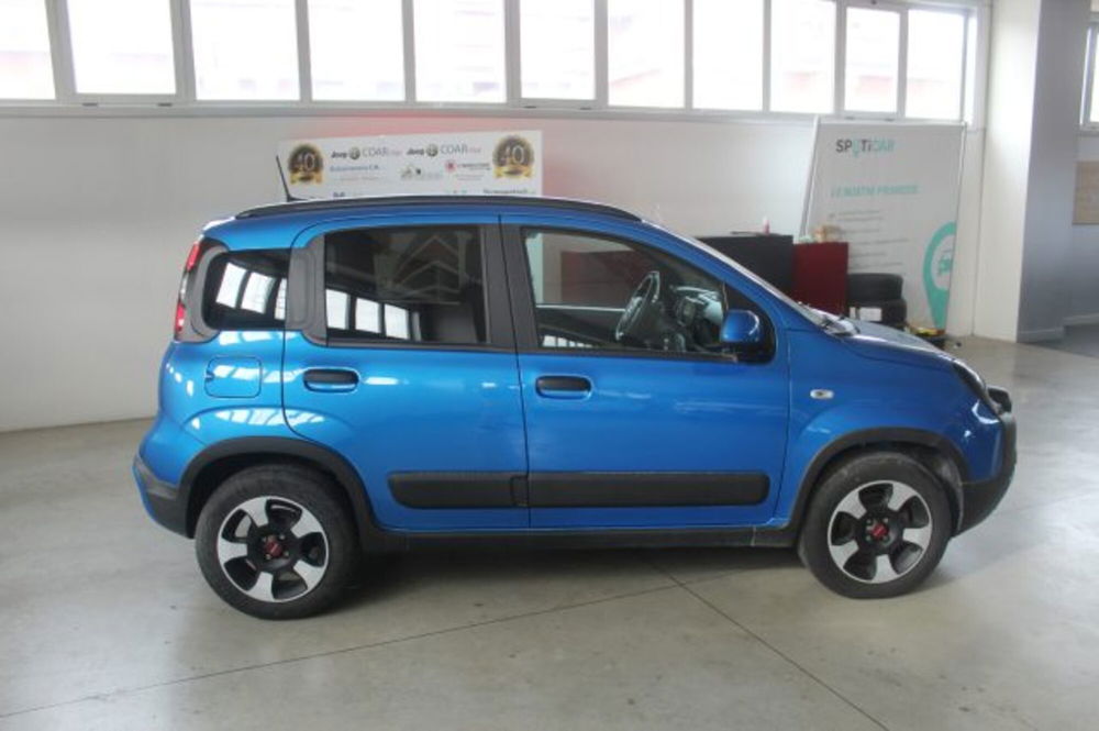 Fiat Panda Cross usata a Terni (6)