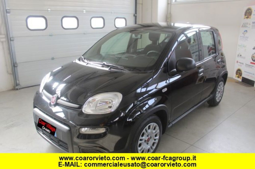 Fiat Panda usata a Terni