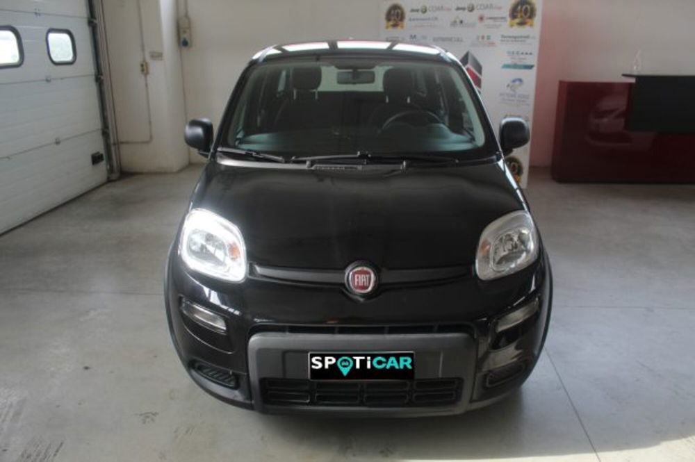 Fiat Panda usata a Terni (2)