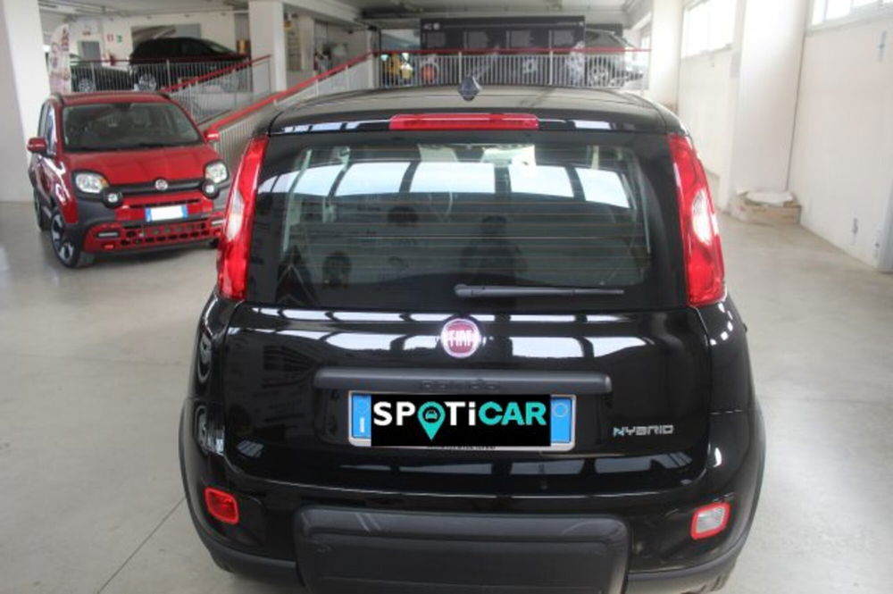 Fiat Panda usata a Terni (5)