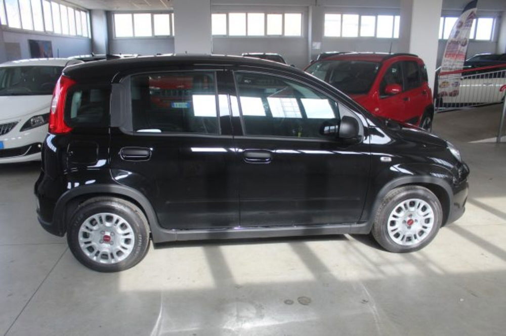 Fiat Panda usata a Terni (6)