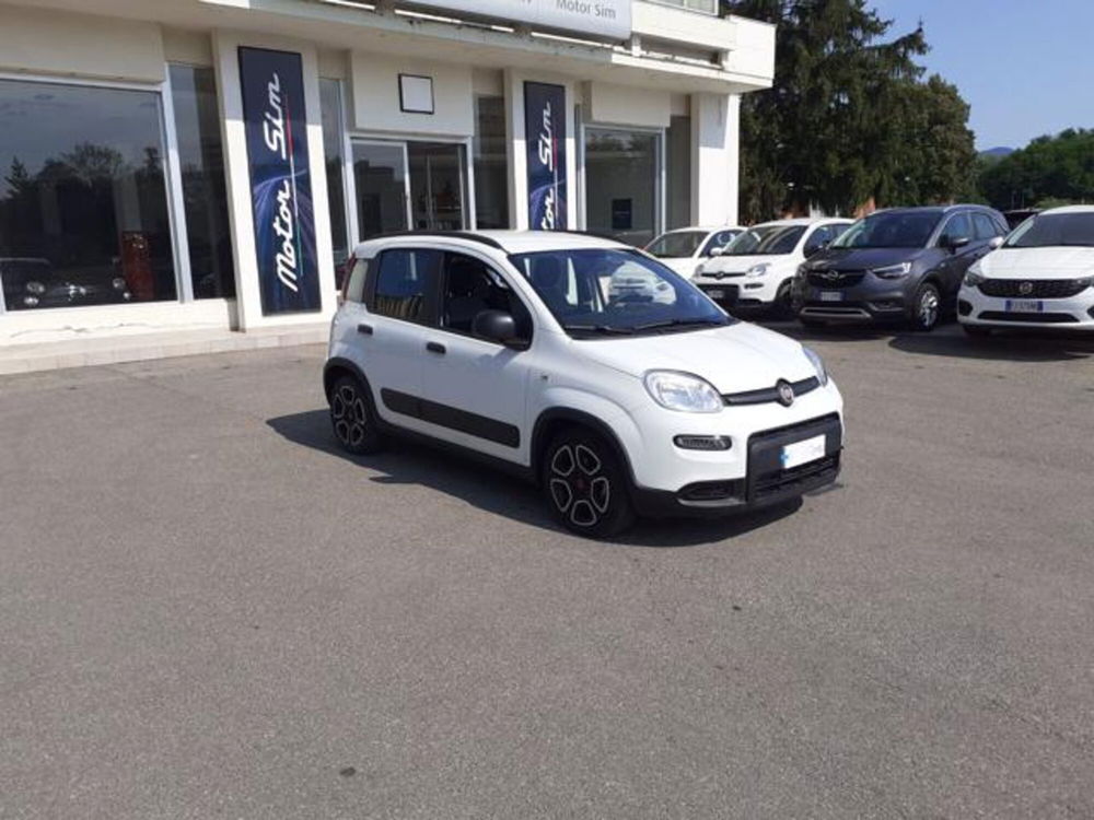 Fiat Panda usata a Firenze (2)