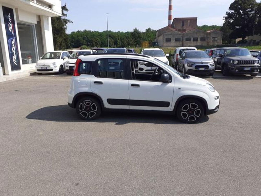 Fiat Panda usata a Firenze (3)