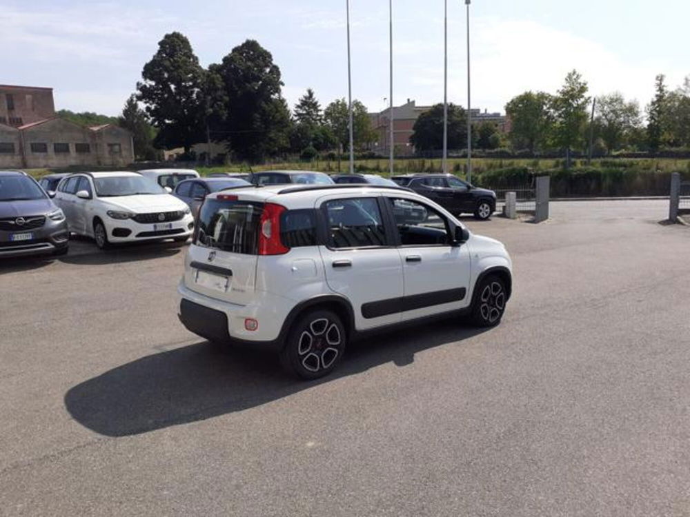 Fiat Panda usata a Firenze (4)