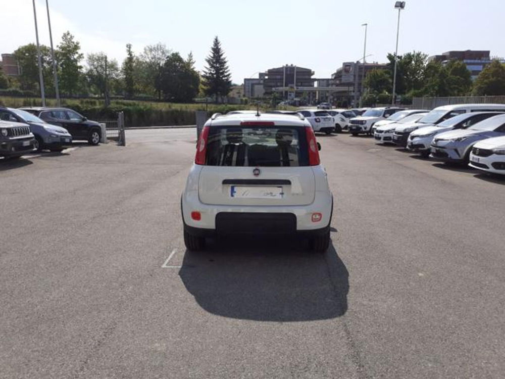 Fiat Panda usata a Firenze (5)