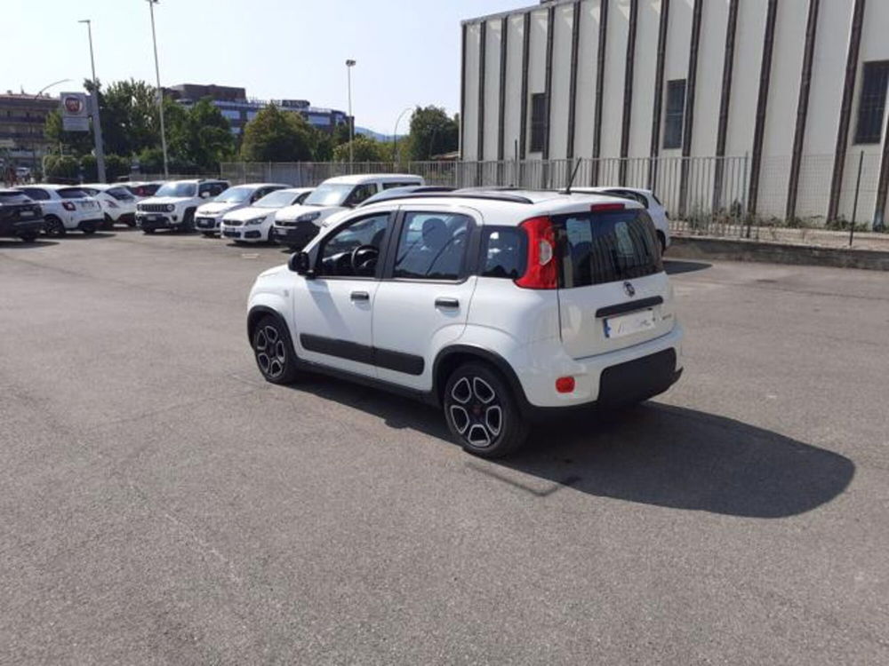 Fiat Panda usata a Firenze (6)