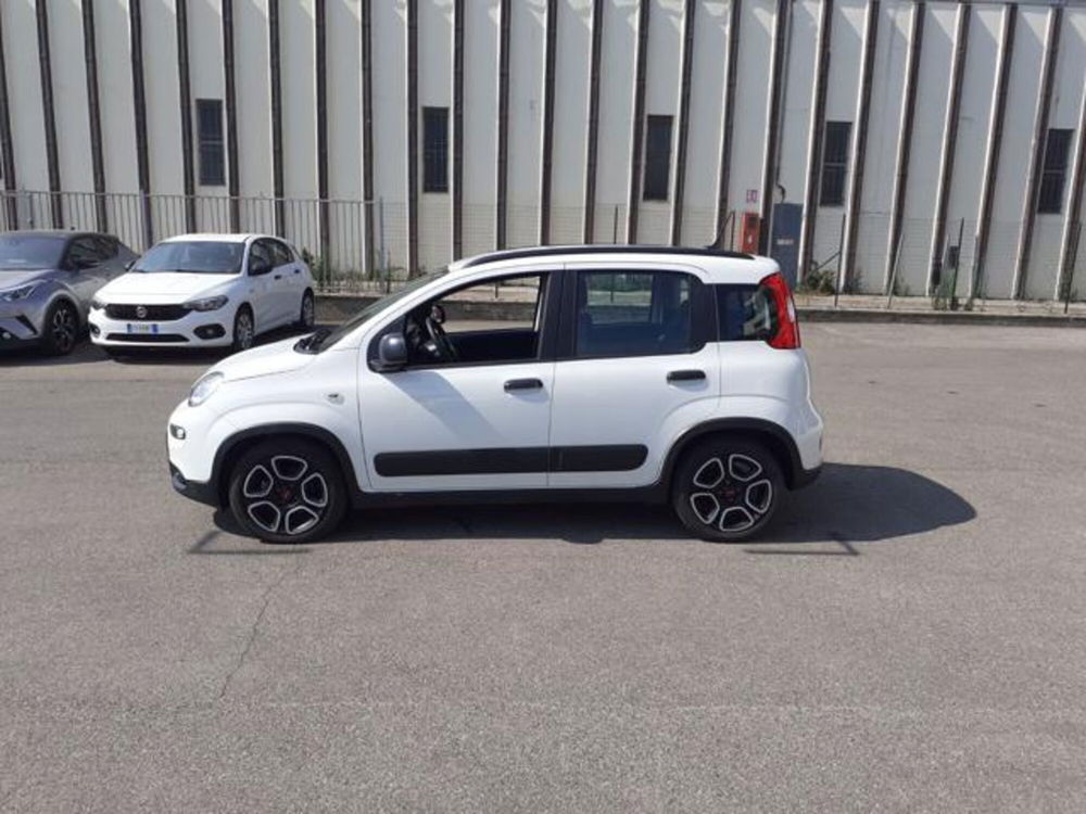 Fiat Panda usata a Firenze (7)